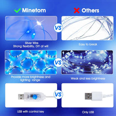 Blue & White 300 LED Dimmable Twinkle Fairy Curtain Lights with Remote and Timer, USB Powered