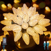 81 Feet 100 LED C9 Christmas String Lights with Timer & 8 Lighting Mode, Warm White