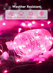 33Feet 100 LEDs USB Plug in Twinkle String Lights with Remote and Timer for Valentine's Day, Pink