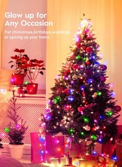 66FT 200LEDs USB Plug in Twinkle Fairy Lights with Timer and Remote, Multicolor