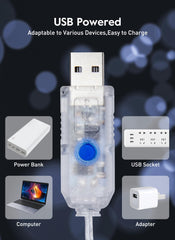 66ft 200 LEDs USB Plug in String Lights with Remote and Timer for Bedroom Indoor, Pure White