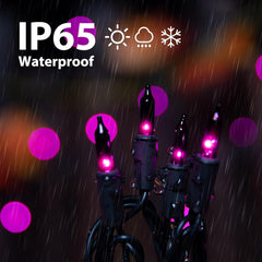 100 Count 20 Feet Incandescent Bulb Mini Lights for Halloween Party Festival Decoration, Purple