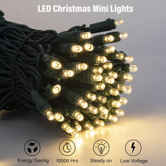 28 Feet 100LEDs Warm White Mini LED String Lights for Christmas