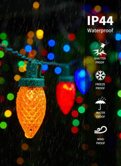 81 Feet 100 LED C9 Christmas String Lights with Timer & 8 Lighting Mode, Multicolor
