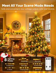 Warm White Mini Globe Fairy String Lights for Xmas Room Decor, Plug in, 8 Modes with Remote