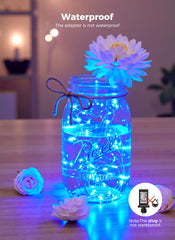 Minetom Fairy Lights Plug in, 33Ft 100 LEDs Waterproof Silver Wire Firefly Lights, Adaptor Included, Starry String Lights for Wedding Indoor Outdoor Christmas Patio Ramadan Decorations, Blue