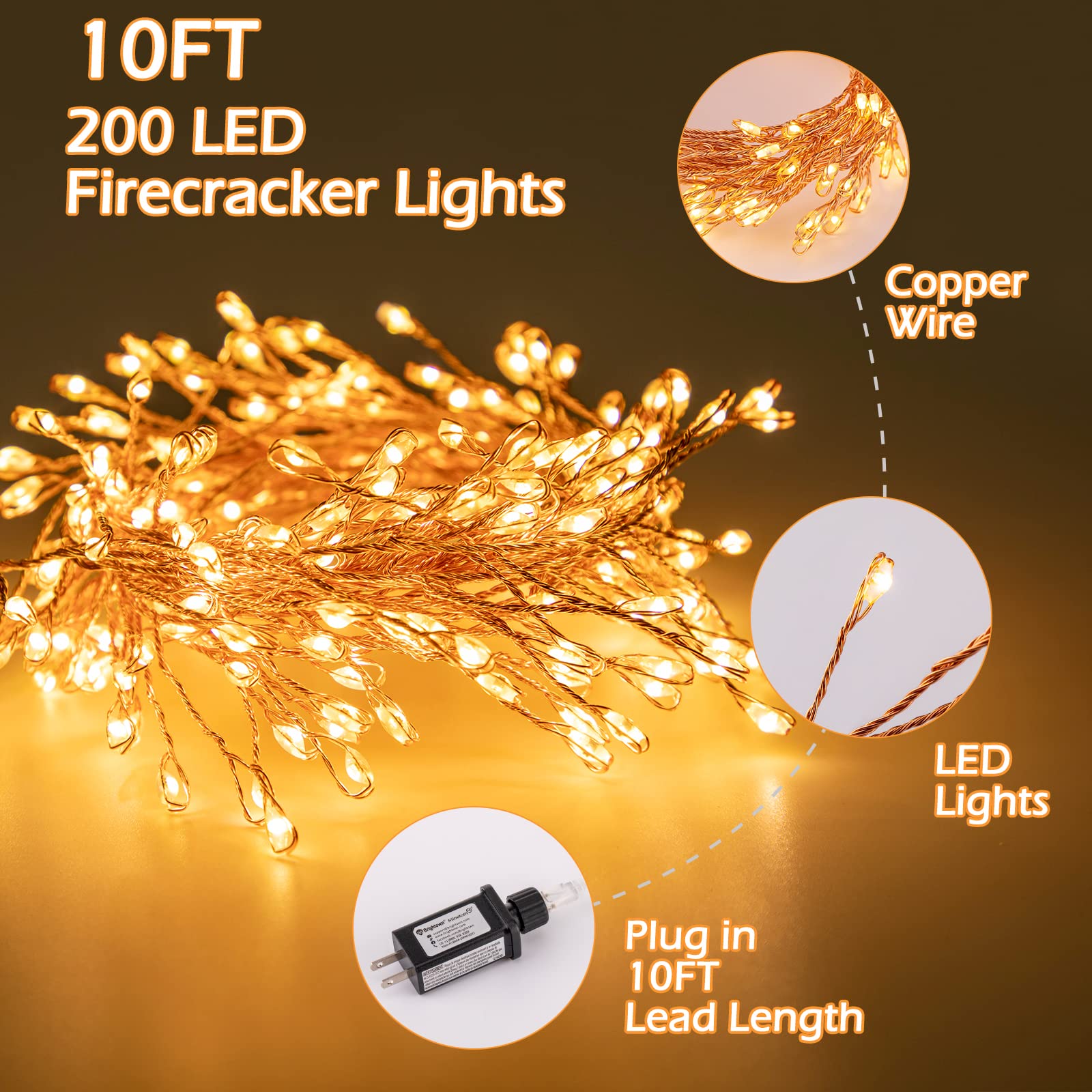 1 x 10 Feet / 200 LED / Warm White